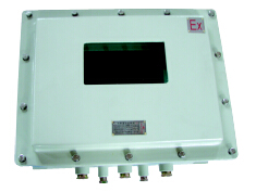 BDXY81系列防爆显示器仪表箱(IIB IIC)